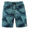 Barts Barts Caspian Swim Shorts -Santa Crux Shop barts caspian swim shorts p9856 61480 image