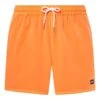 Oakley Oakley Robinson RC 16" Beach Shorts